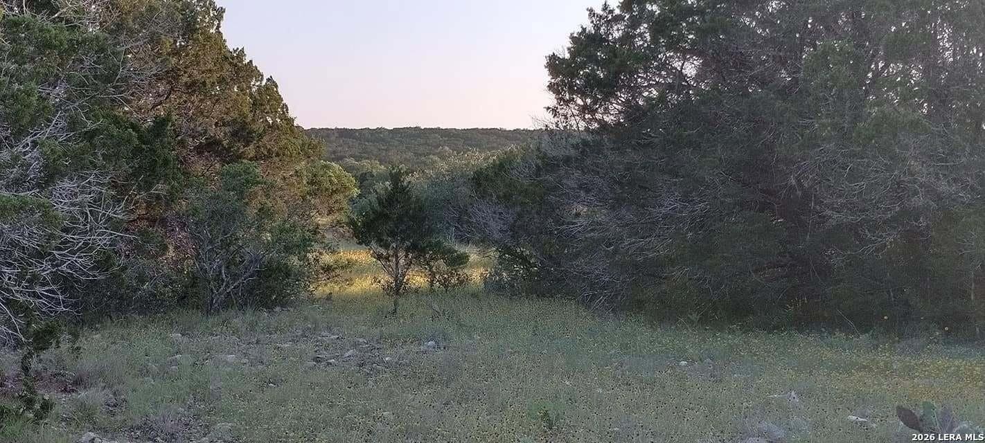 100,000 acres in Kinney County - photo 6