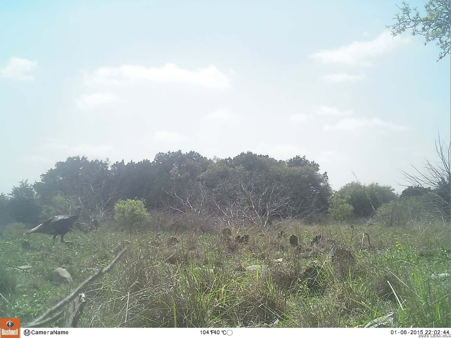 100,000 acres in Kinney County - photo 7