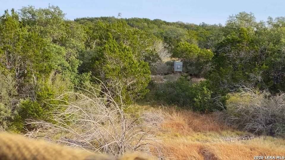 100,000 acres in Kinney County - photo 21