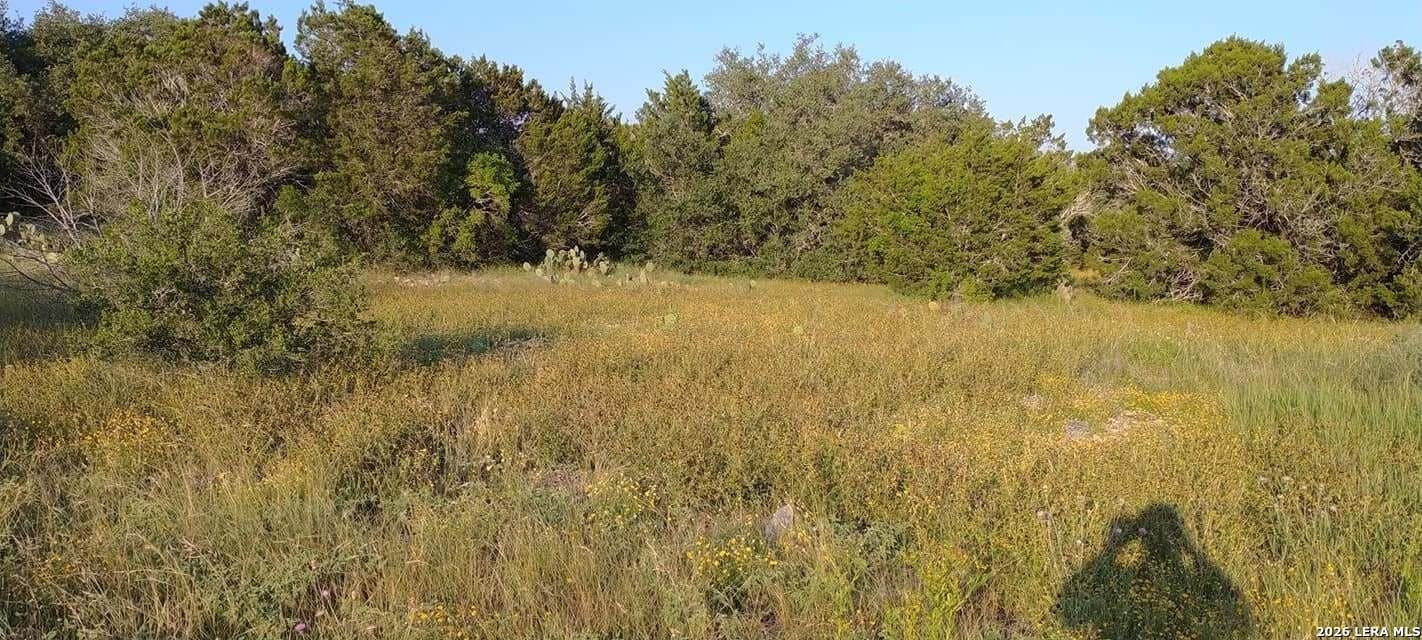 100,000 acres in Kinney County - photo 17