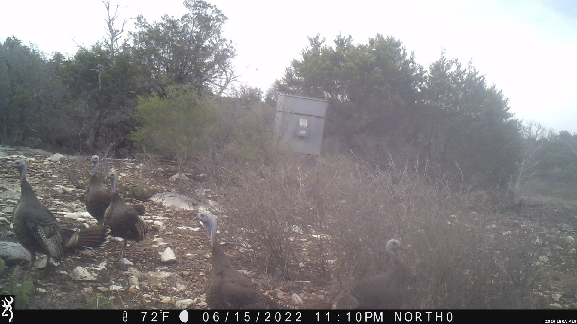 100,000 acres in Kinney County - photo 5