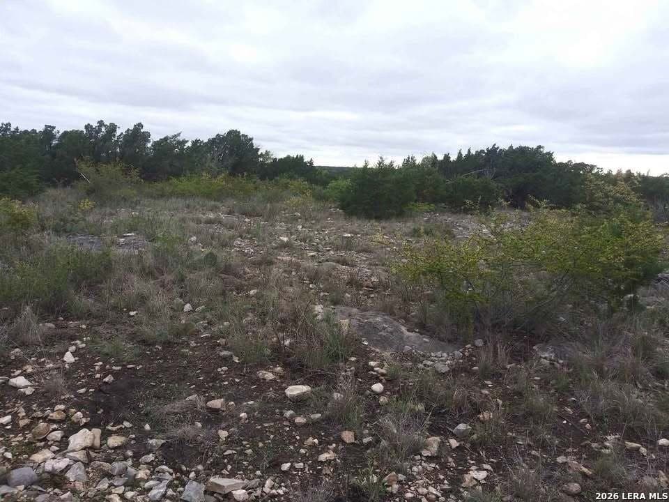 100,000 acres in Kinney County - photo 22
