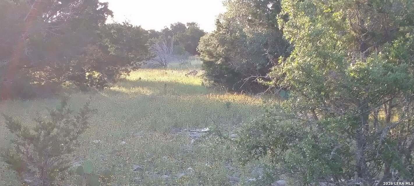 100,000 acres in Kinney County - photo 11