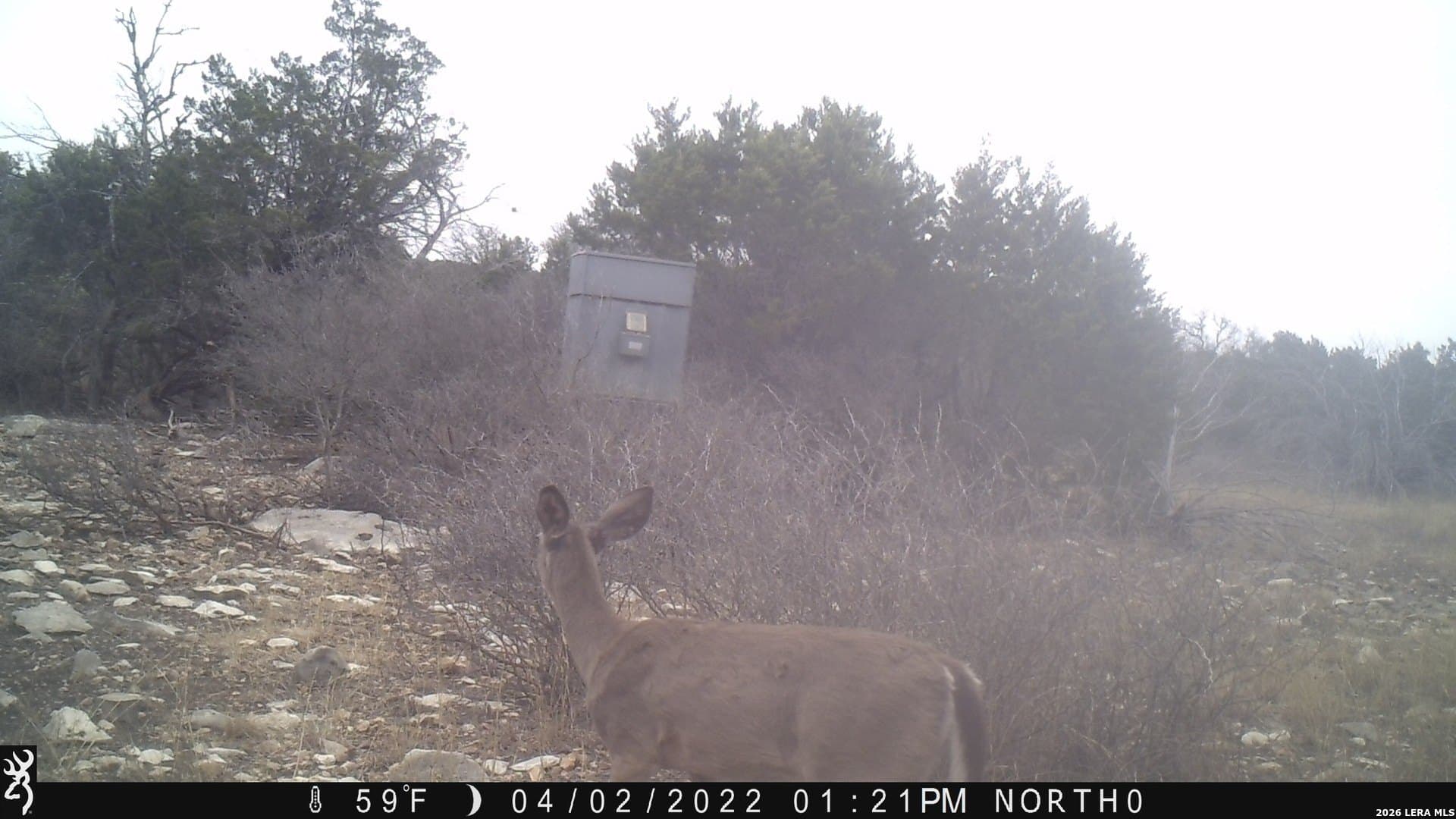 100,000 acres in Kinney County - photo 3
