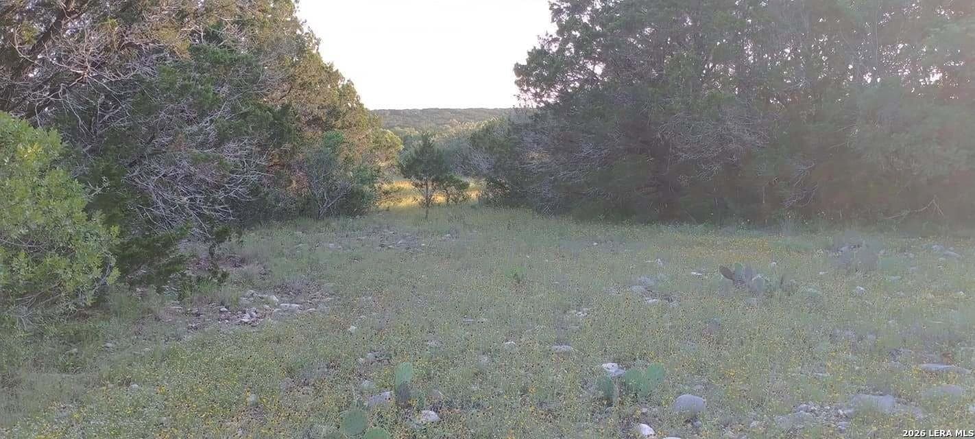 100,000 acres in Kinney County - photo 10