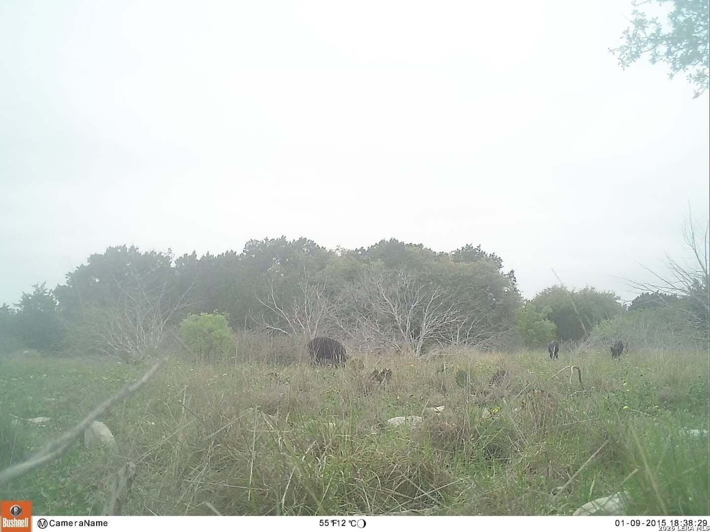 100,000 acres in Kinney County - photo 16