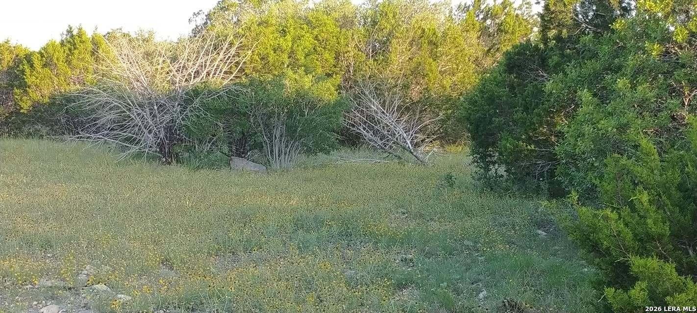 100,000 acres in Kinney County - photo 14