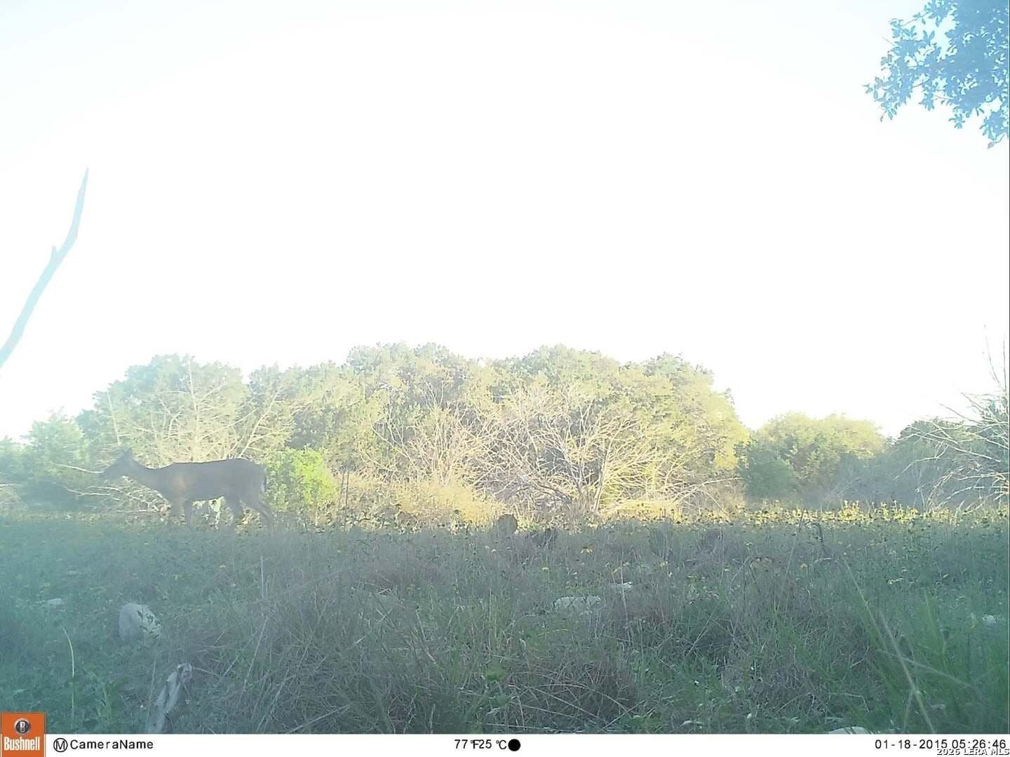 100,000 acres in Kinney County - photo 13