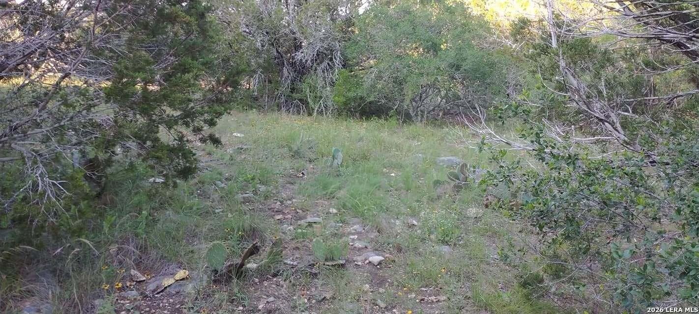 100,000 acres in Kinney County - photo 12
