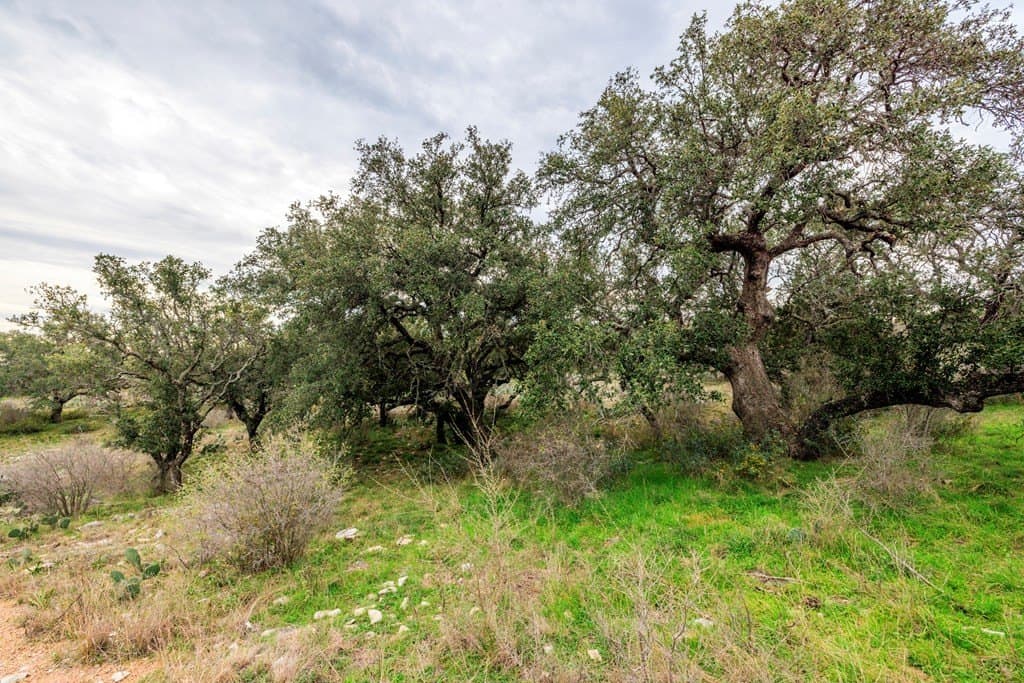 186.24 acres in Mason County - photo 47