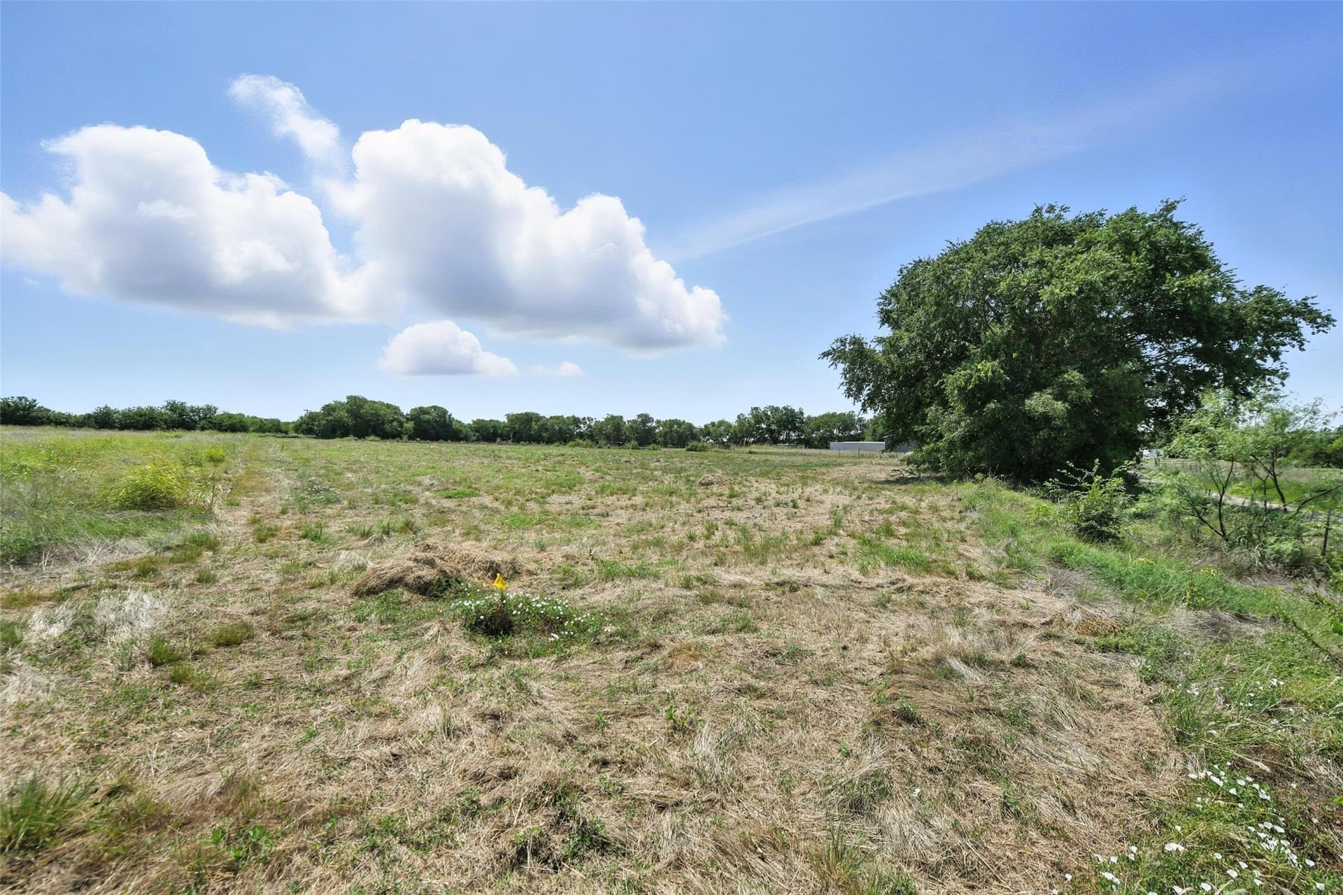 2.9 acres in Denton County gallery image 3