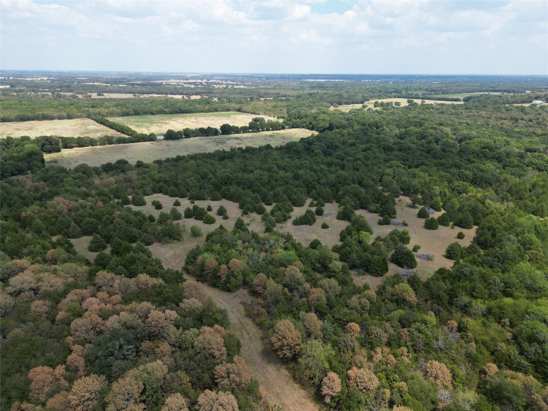 85 acres in Hunt County - photo 7