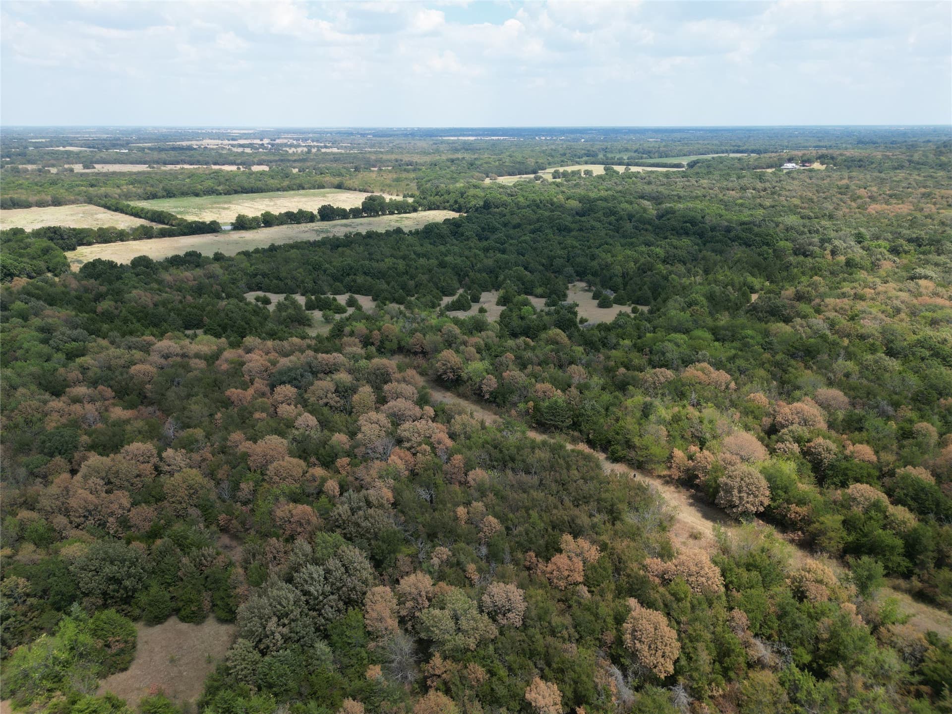 85 acres in Hunt County - photo 6