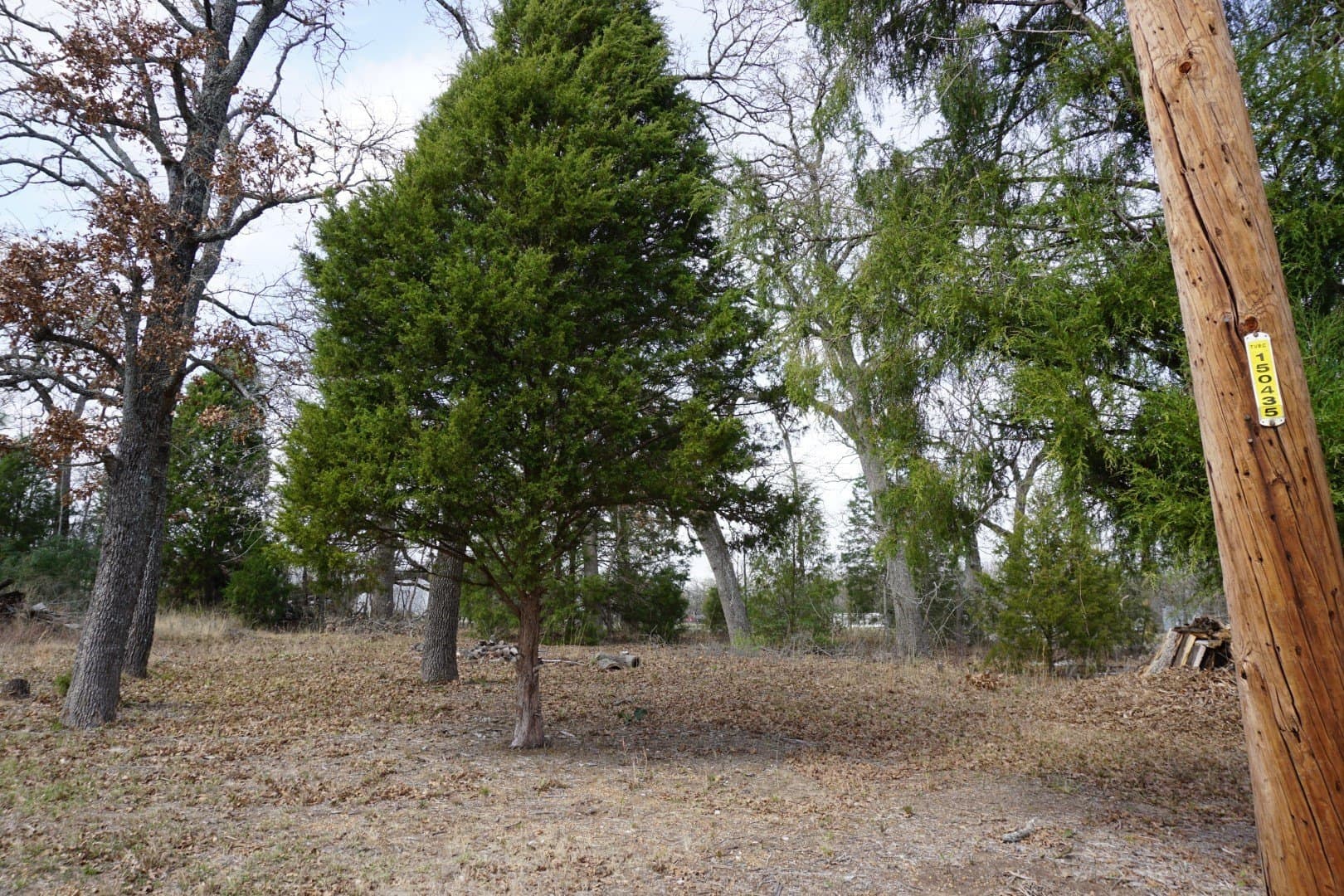 0.3 acres in Henderson County - photo 17
