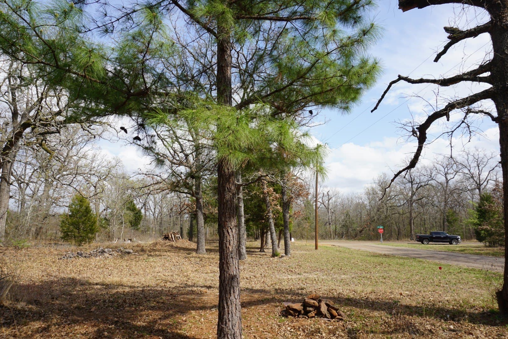 0.3 acres in Henderson County - photo 22