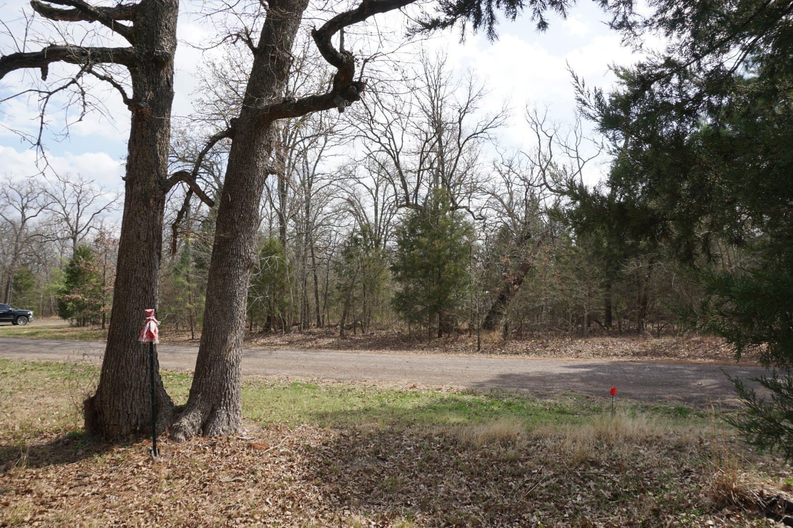 0.3 acres in Henderson County - photo 23
