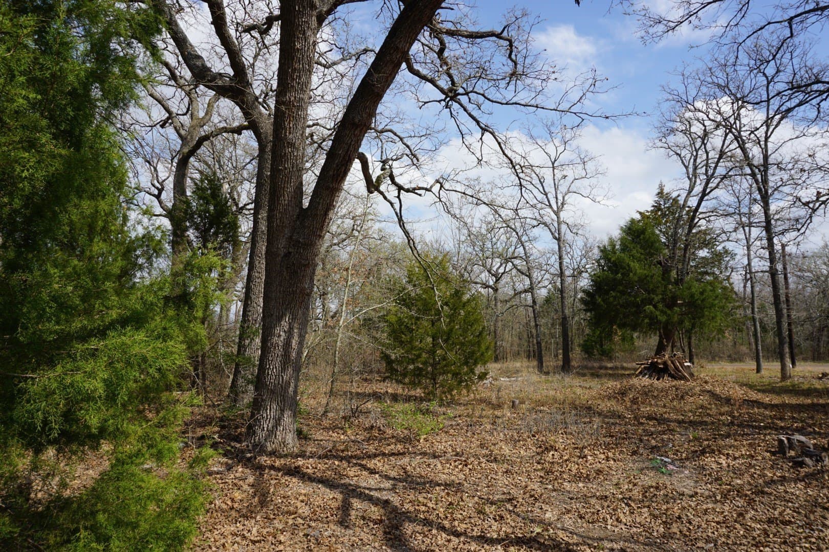 0.3 acres in Henderson County - photo 14