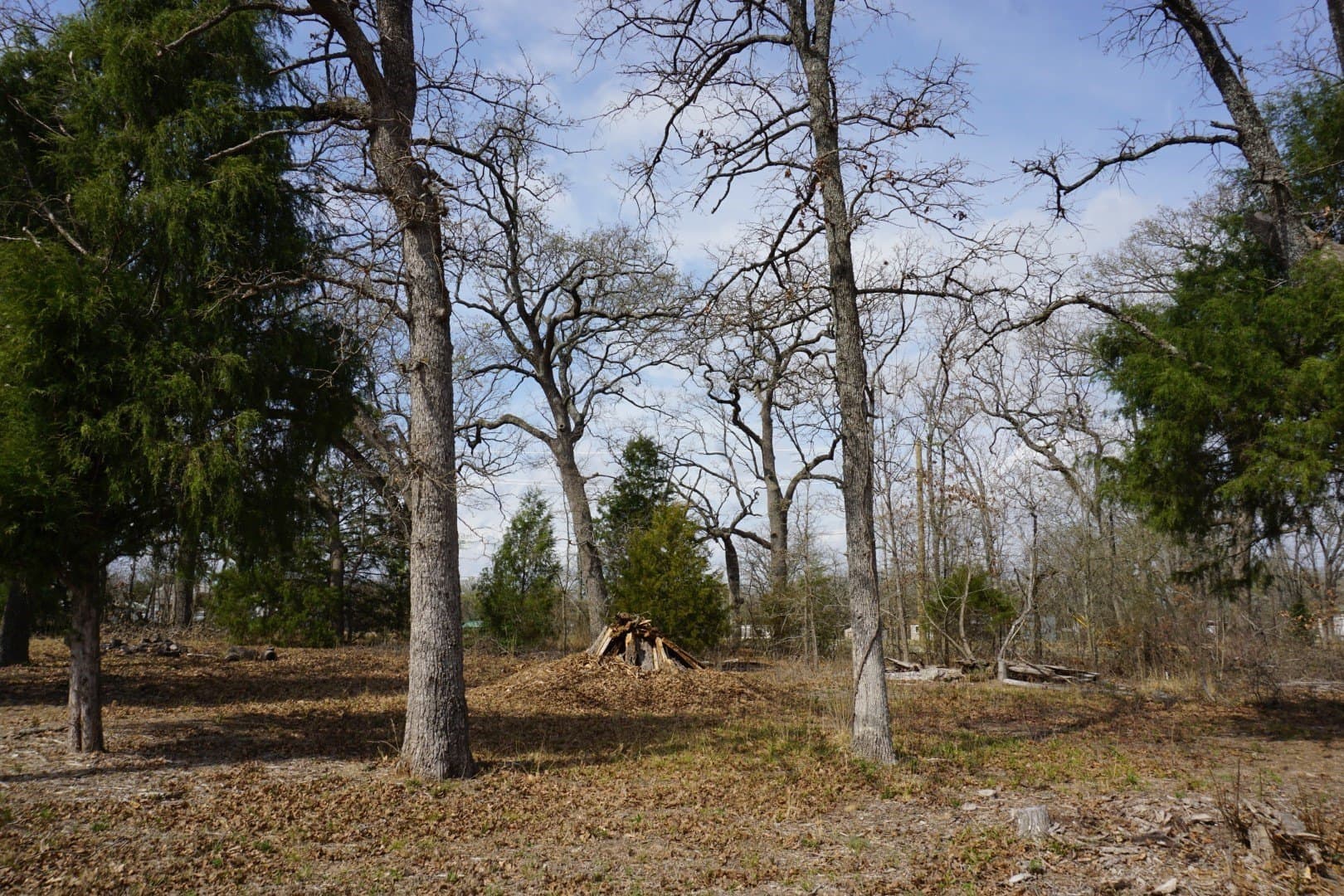 0.3 acres in Henderson County - photo 3