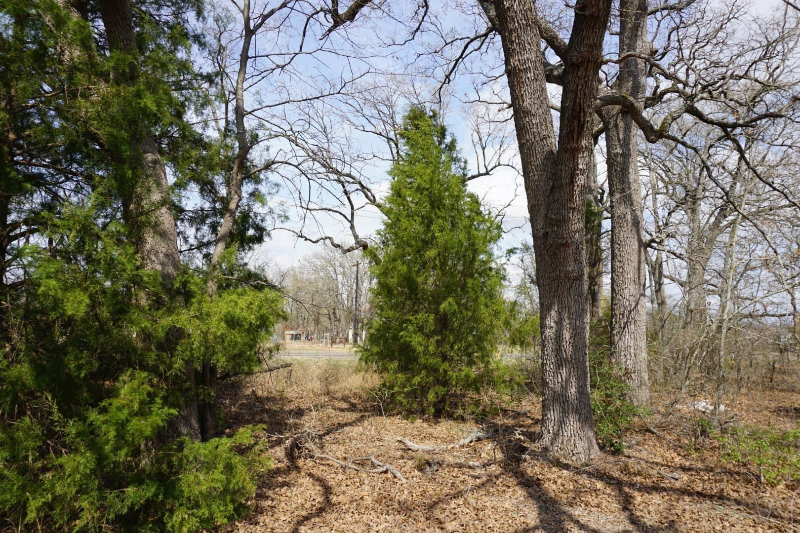 0.3 acres in Henderson County - photo 20