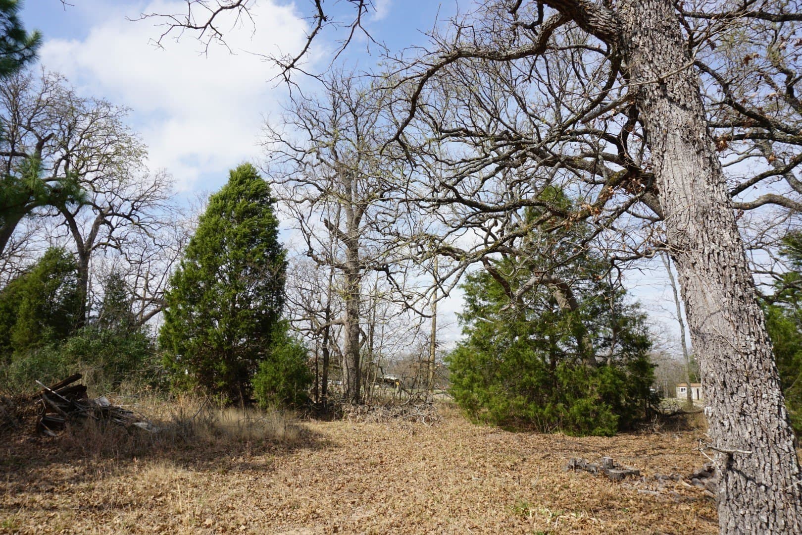 0.3 acres in Henderson County - photo 9