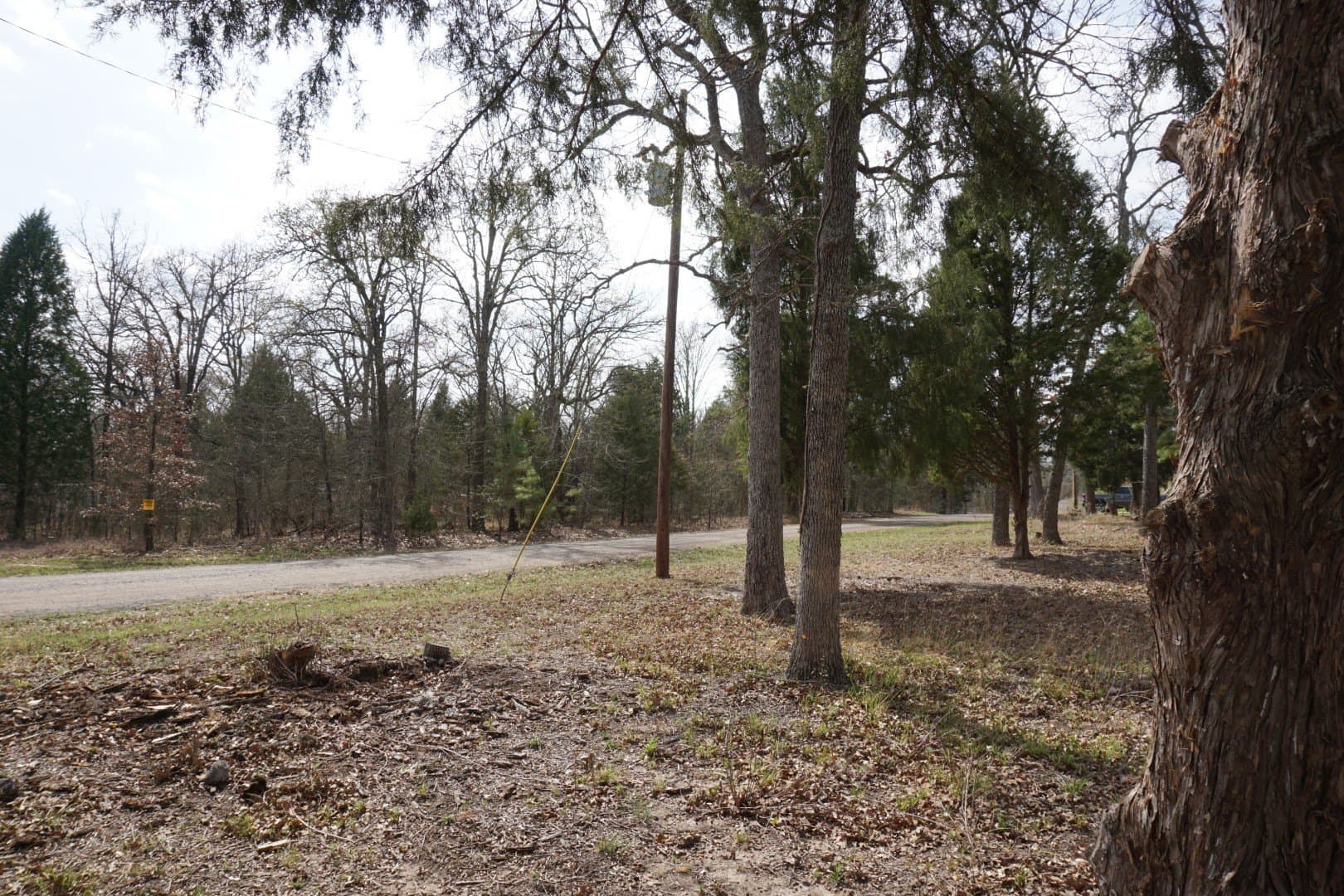 0.3 acres in Henderson County - photo 24