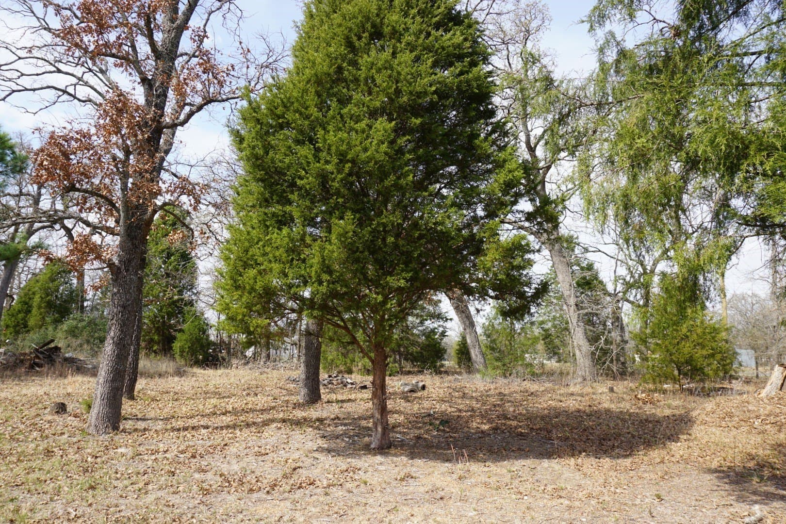 0.3 acres in Henderson County - photo 4