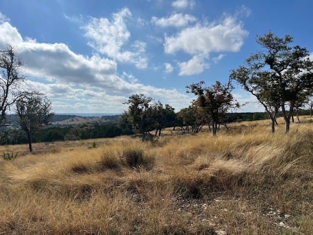 10.02 acres in Gillespie County featured view