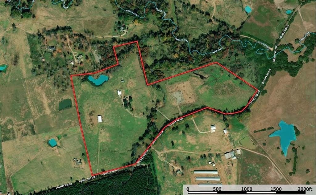 79 acres in Panola County gallery image 2