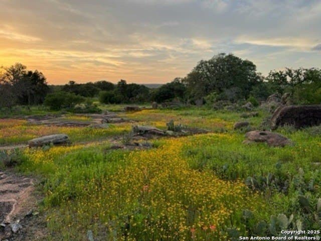 13.72 acres in Burnet County gallery image 4