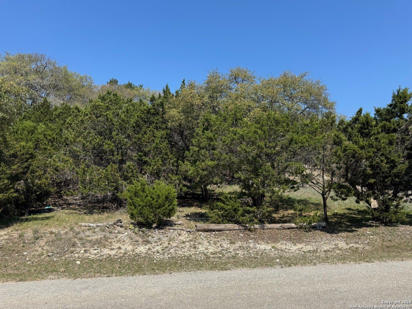 0.21 acres in Comal County gallery image 4