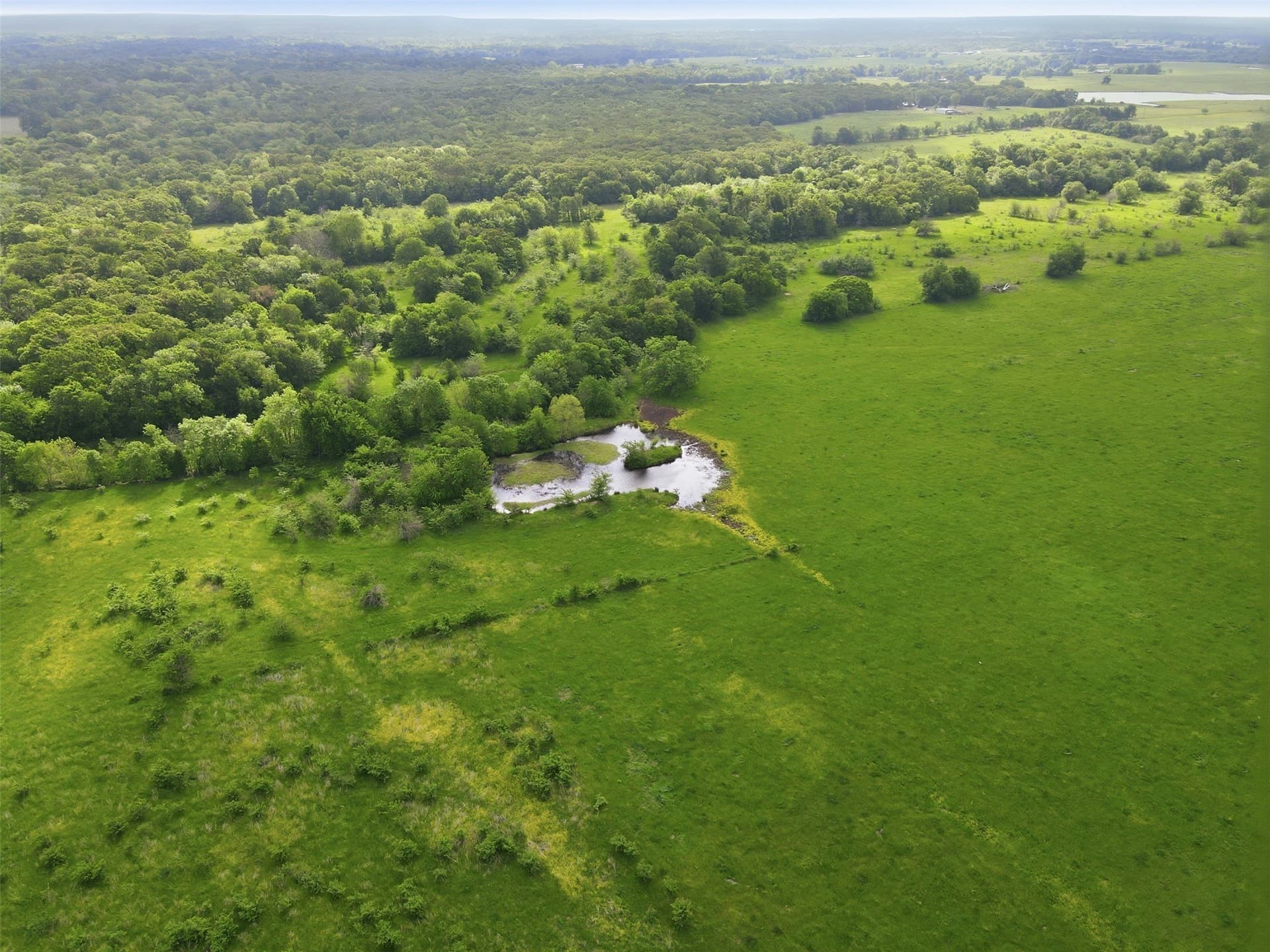 228.84 acres in Hopkins County - photo 6