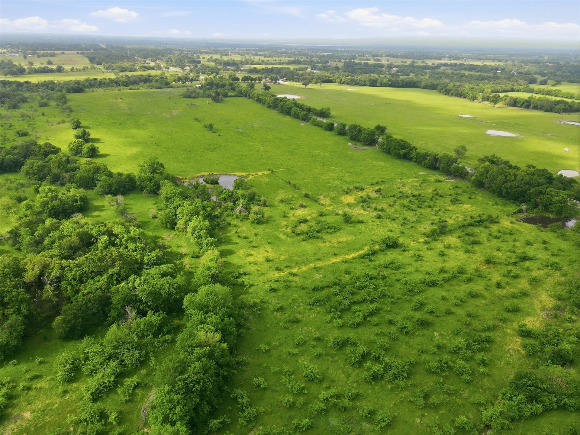 228.84 acres in Hopkins County - photo 8