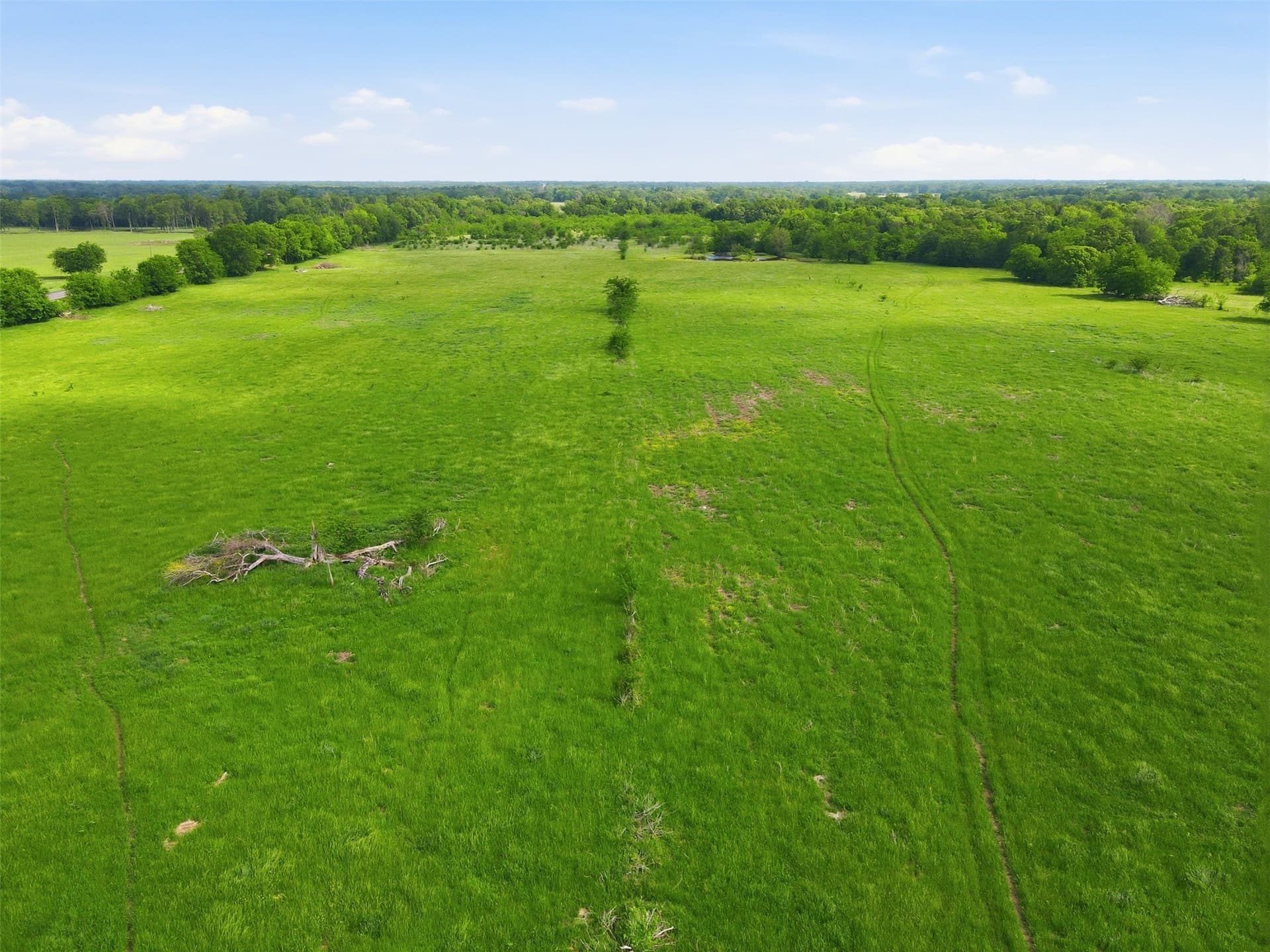228.84 acres in Hopkins County - photo 18