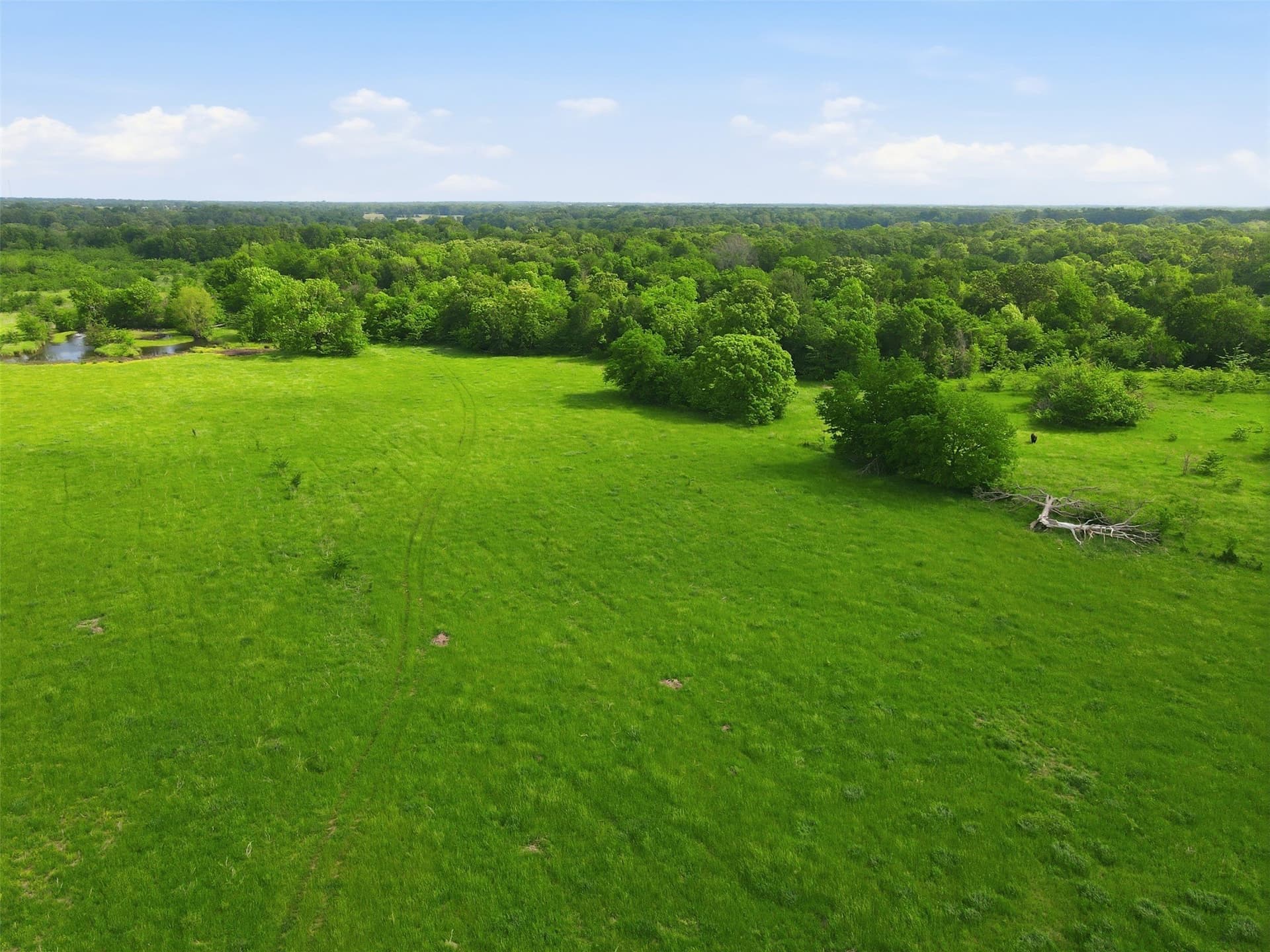 228.84 acres in Hopkins County - photo 20