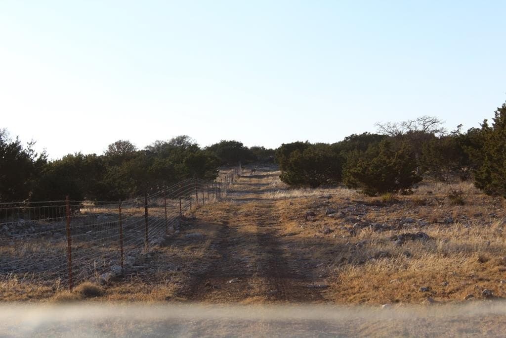 200 acres in Sutton County - photo 81