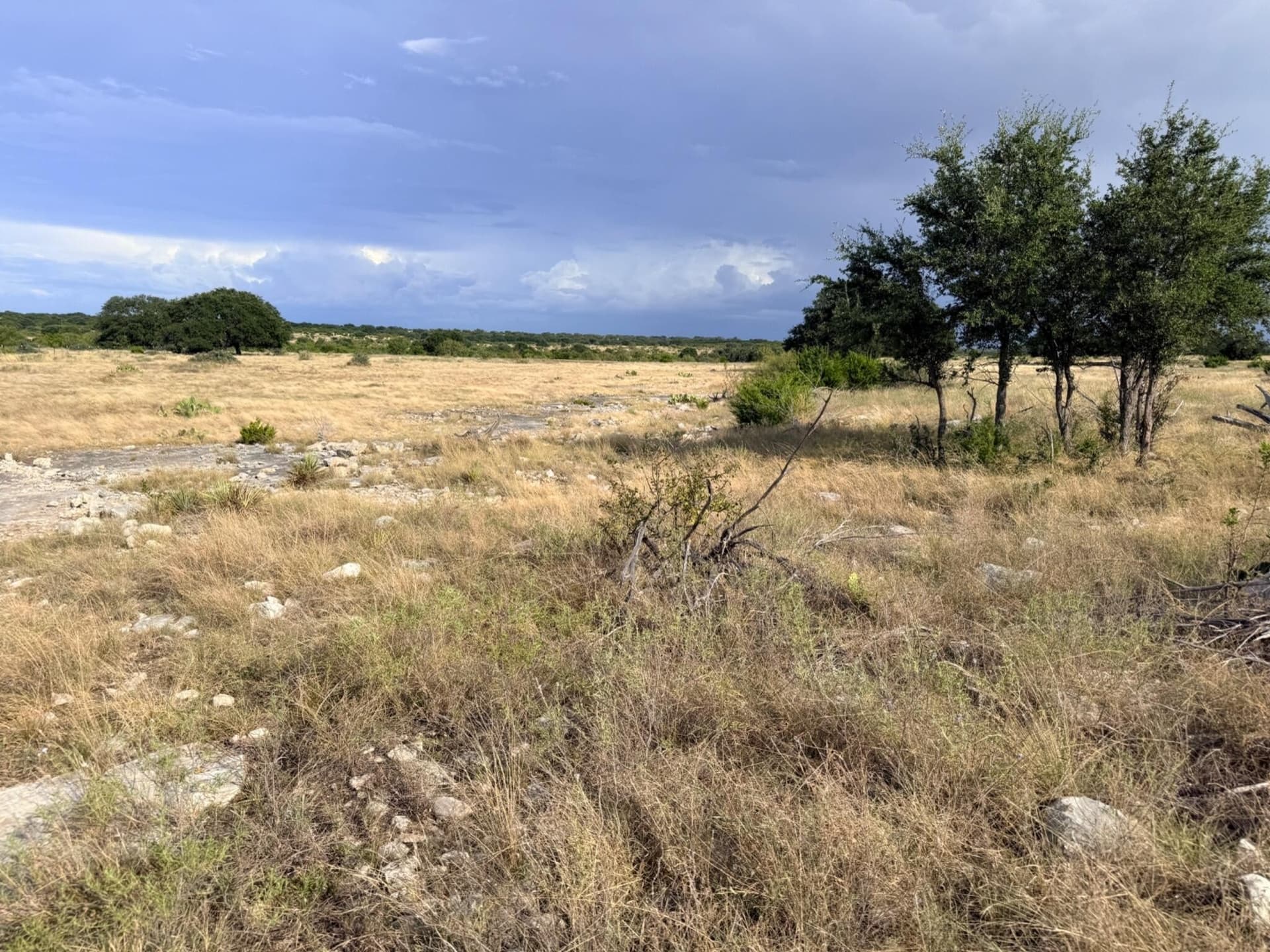 200.2 acres in Sutton County - photo 32