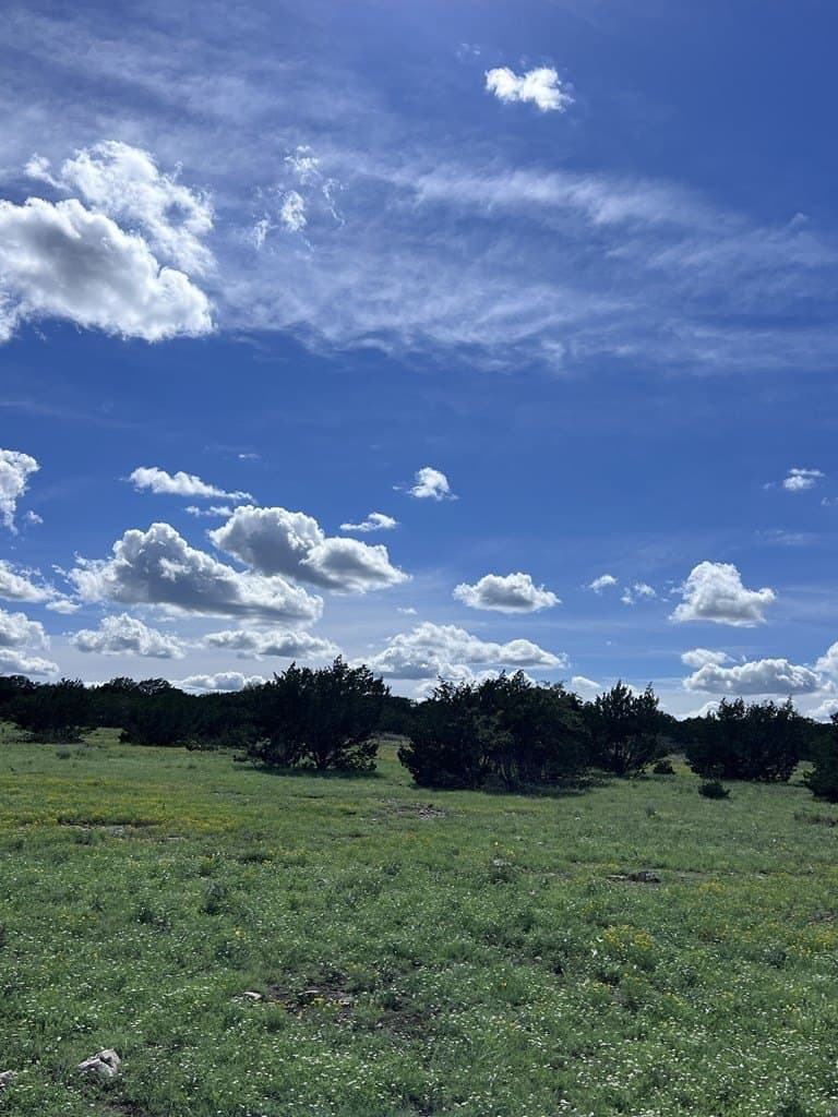 200 acres in Sutton County - photo 46