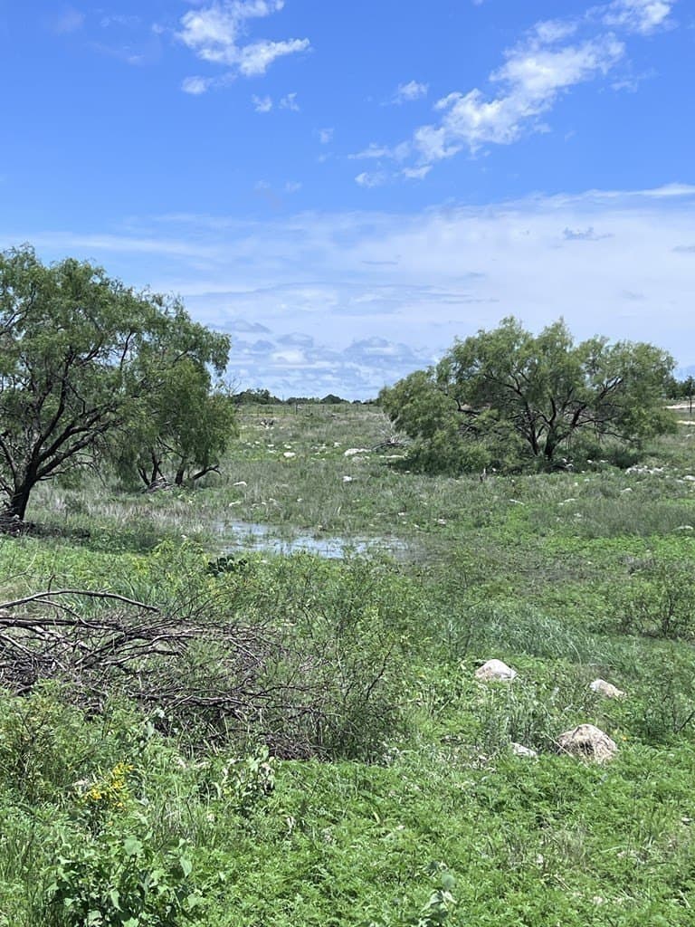 200 acres in Sutton County - photo 30