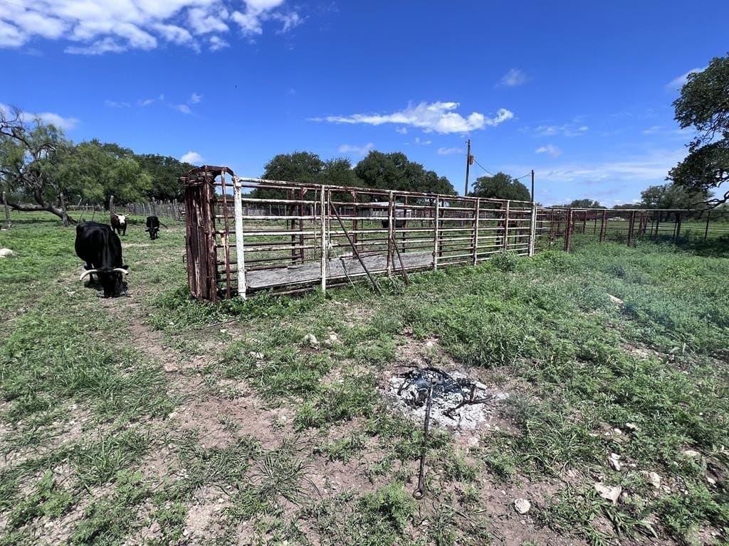 200 acres in Sutton County - photo 94