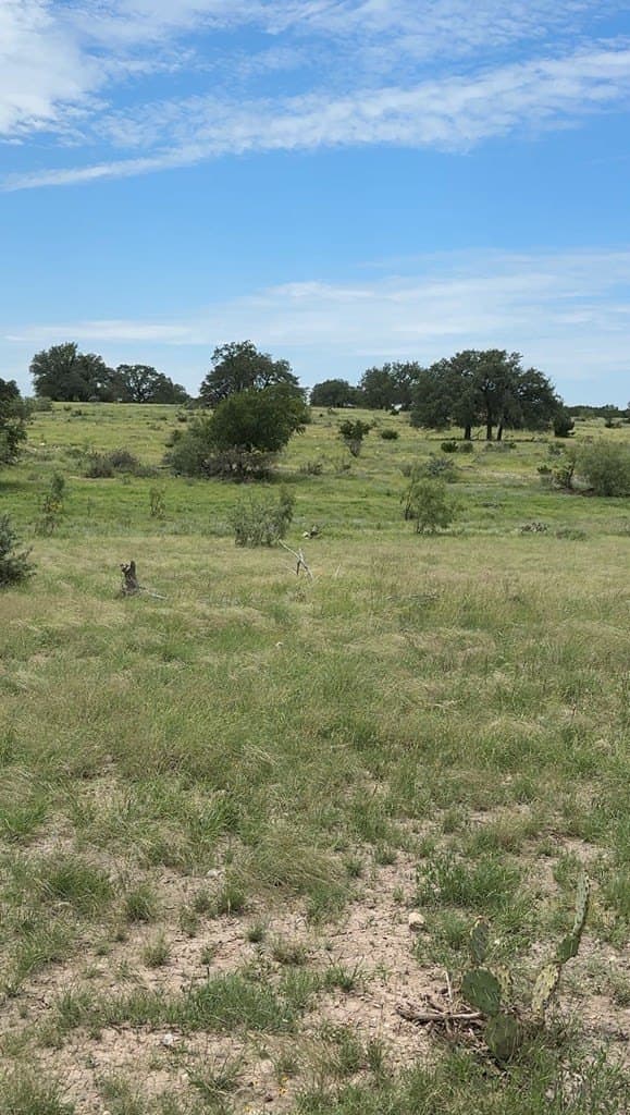 200 acres in Sutton County - photo 32
