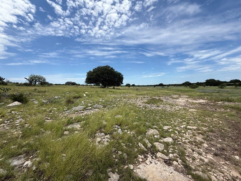 200 acres in Sutton County - photo 33