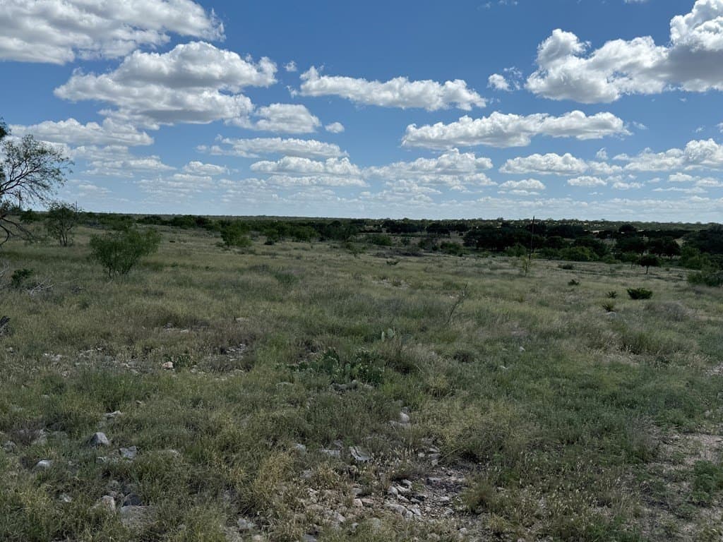 200 acres in Sutton County - photo 31