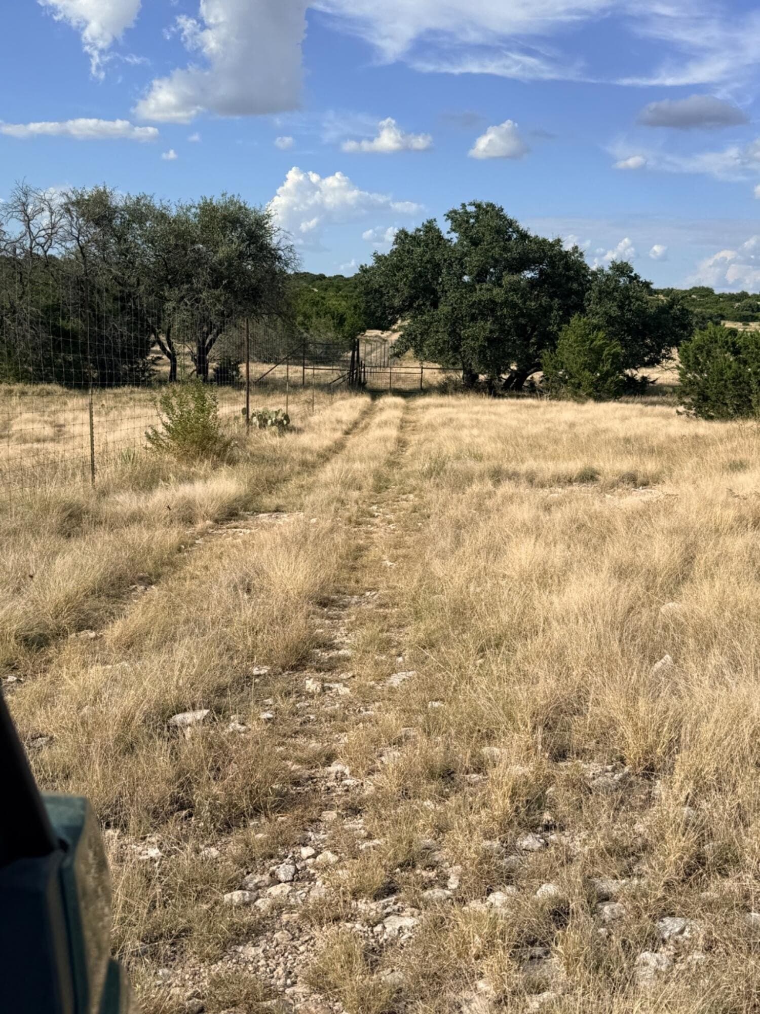 200.2 acres in Sutton County - photo 29