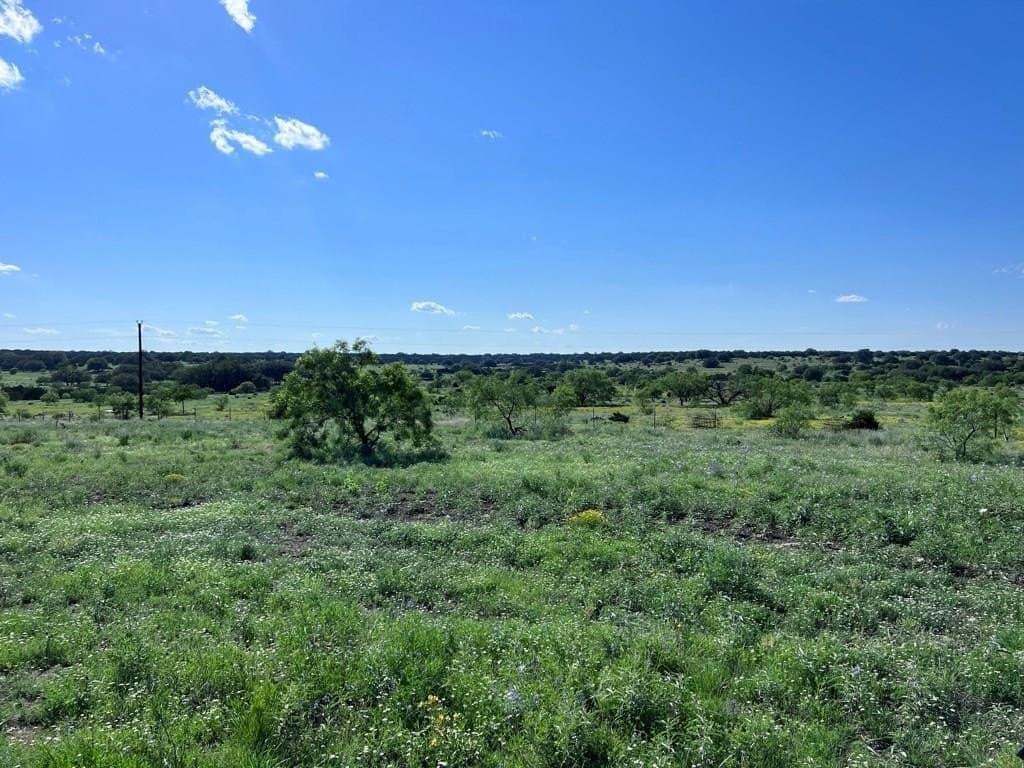 200 acres in Sutton County - photo 23