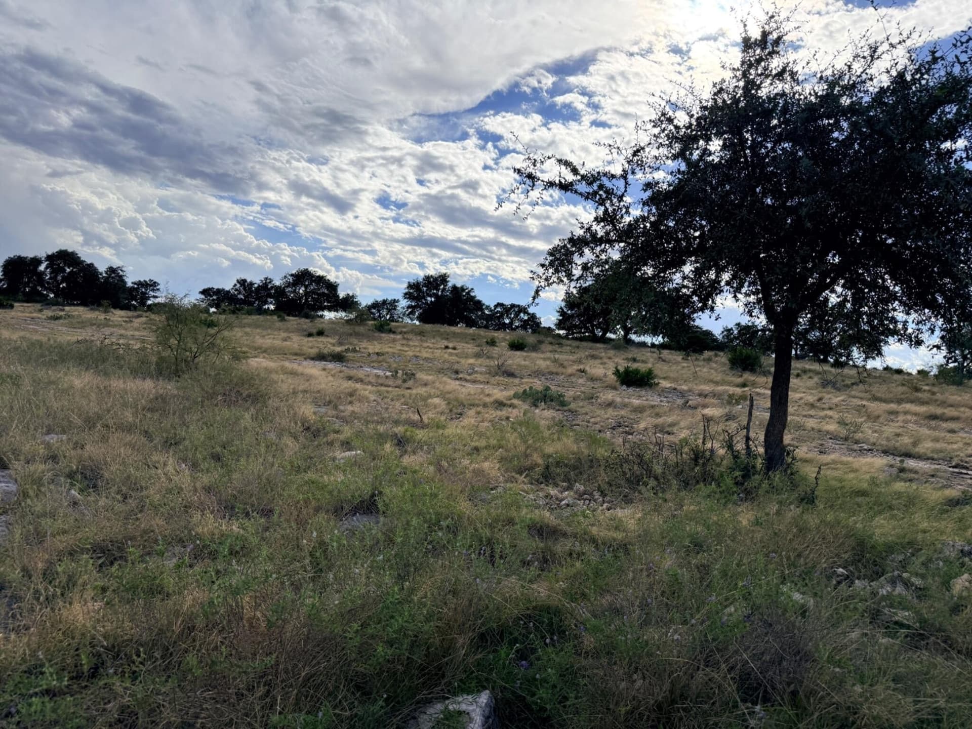 200.2 acres in Sutton County - photo 31