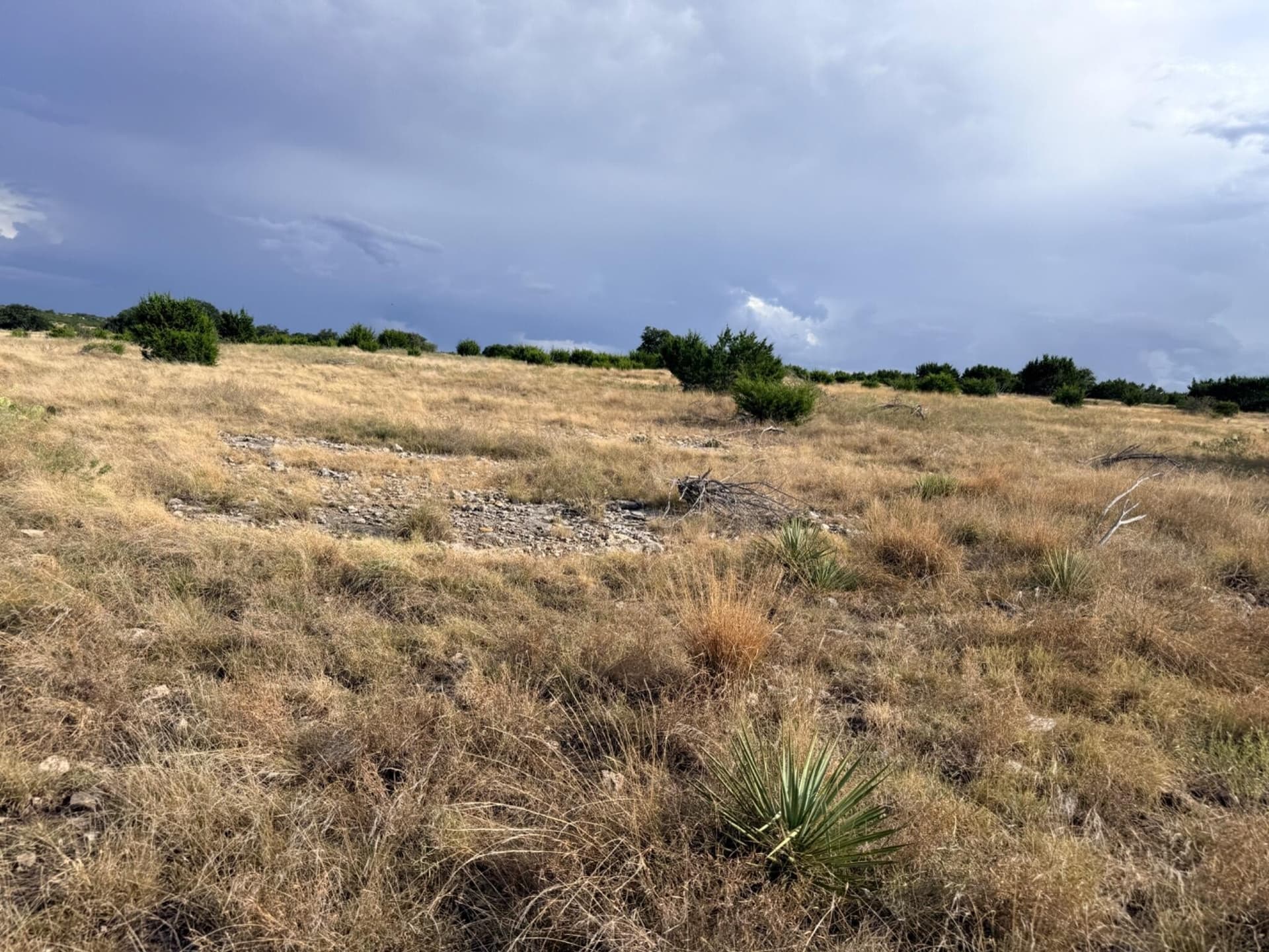 200.2 acres in Sutton County - photo 28