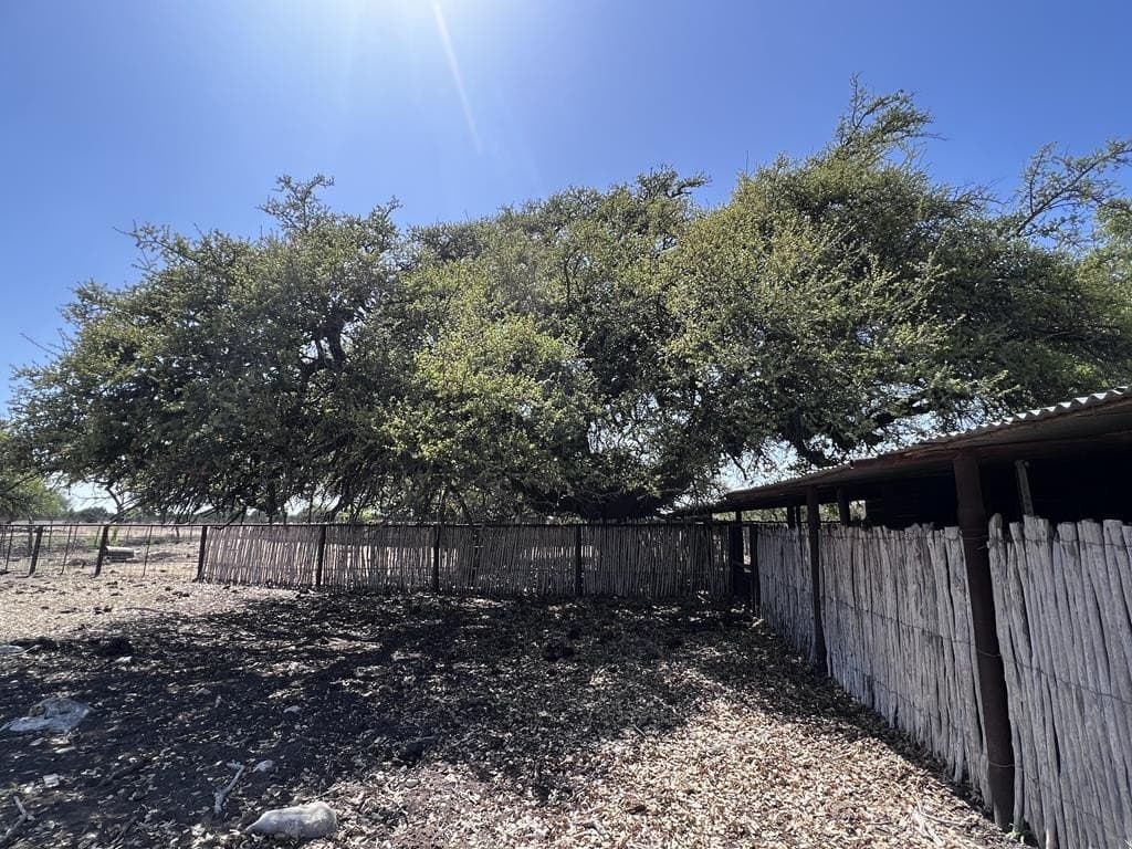 200 acres in Sutton County - photo 89