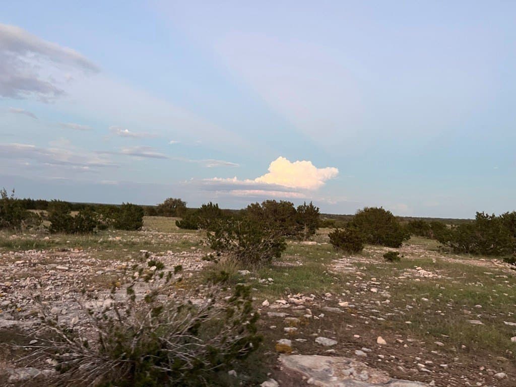200 acres in Sutton County - photo 50