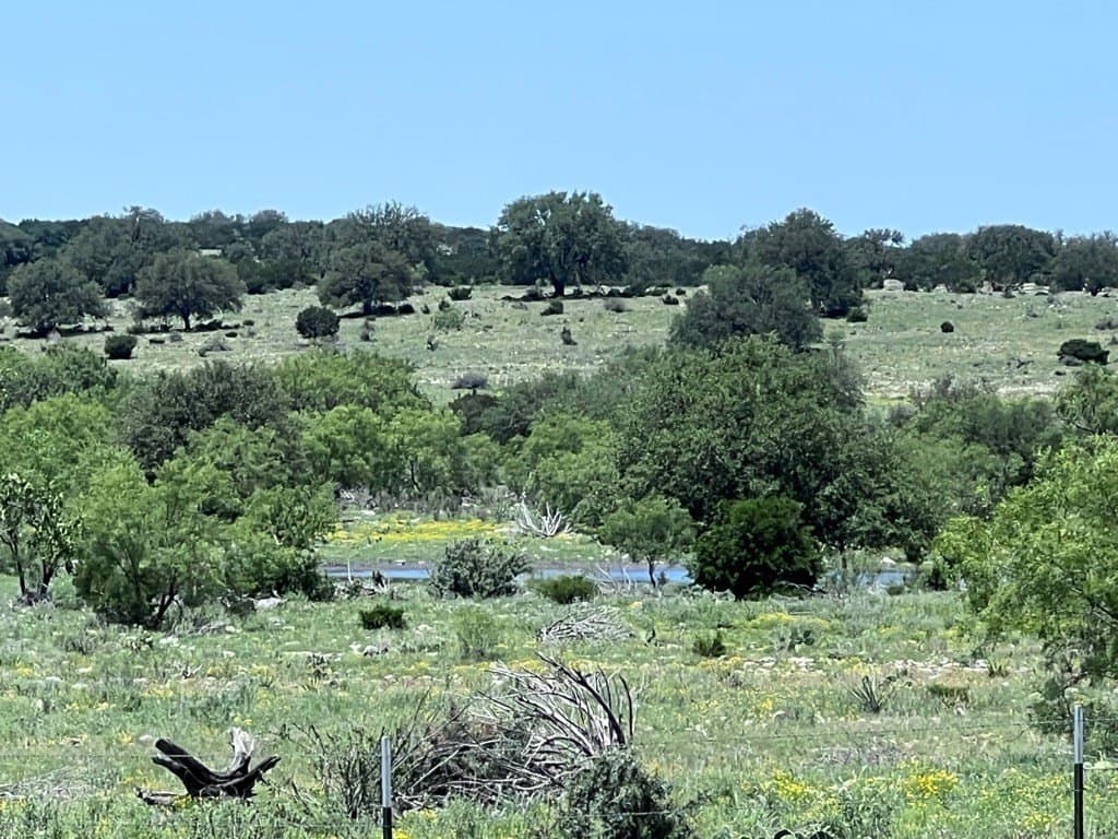 200 acres in Sutton County - photo 28