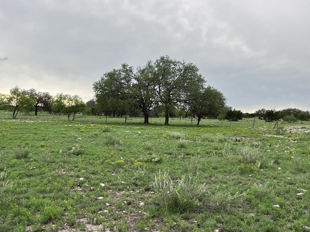 200 acres in Sutton County - photo 49